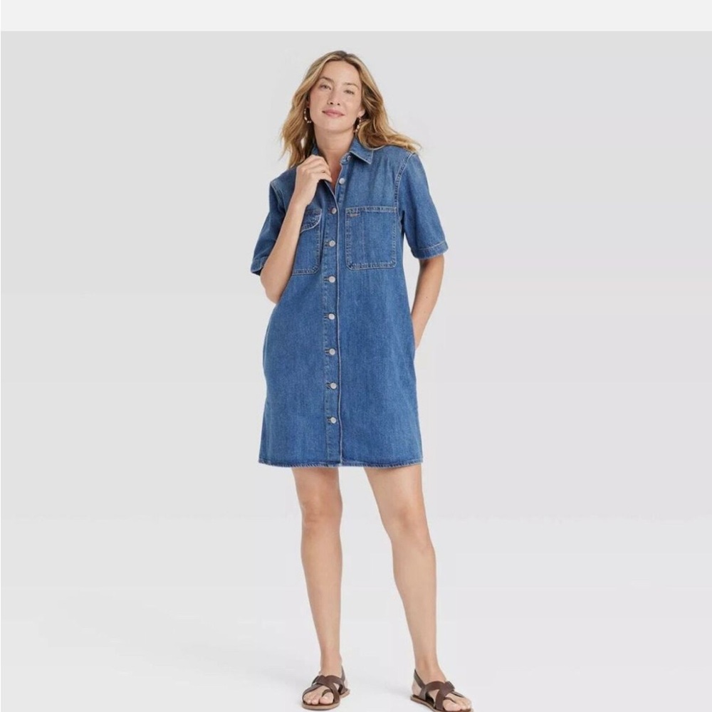 Blue Denim Button-Down Dress